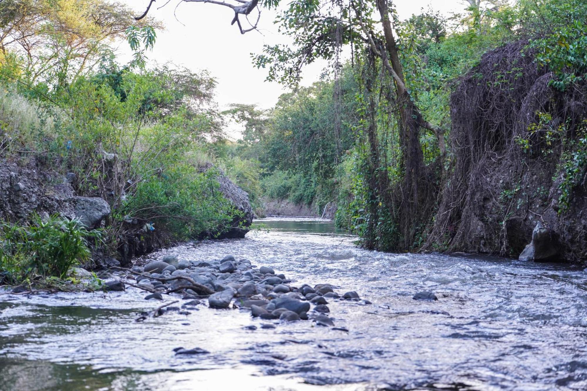 Kili Seasons Hotel Arusha Eksteriør bilde